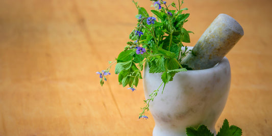 Herbal Medicine and Mental Health: Nature’s Support for the Mind